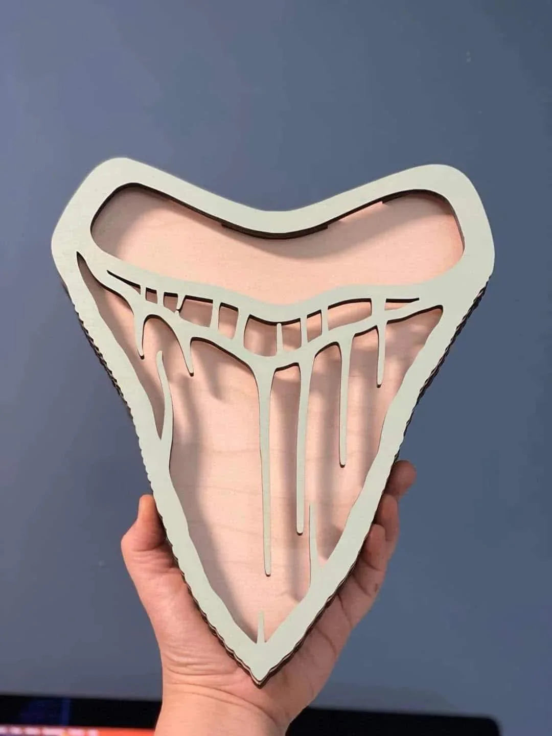 Megalodon Tooth Shadow Box