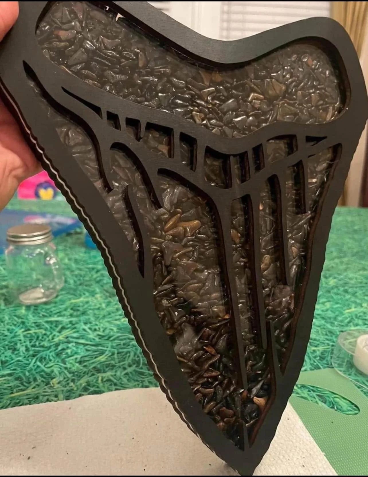 Megalodon Tooth Shadow Box