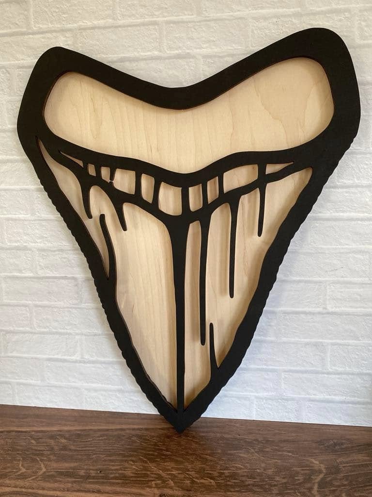 Megalodon Tooth Shadow Box