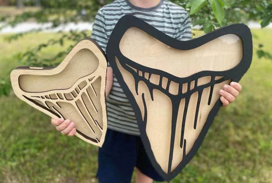 Megalodon Tooth Shadow Box